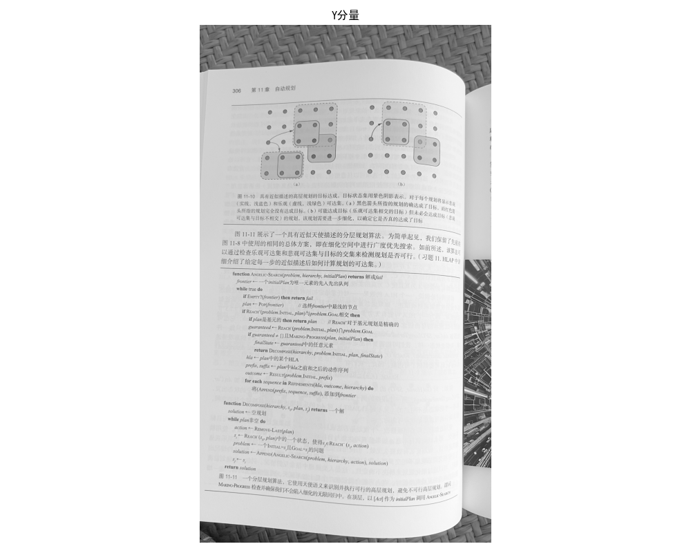 Y 分量